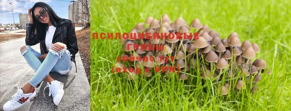 марки lsd Алзамай