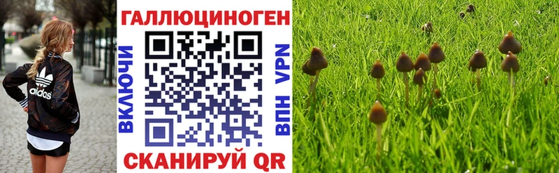 где можно купить blacksprut зеркало Псилоцибиновые грибы GOLDEN TEACHER Старый Оскол