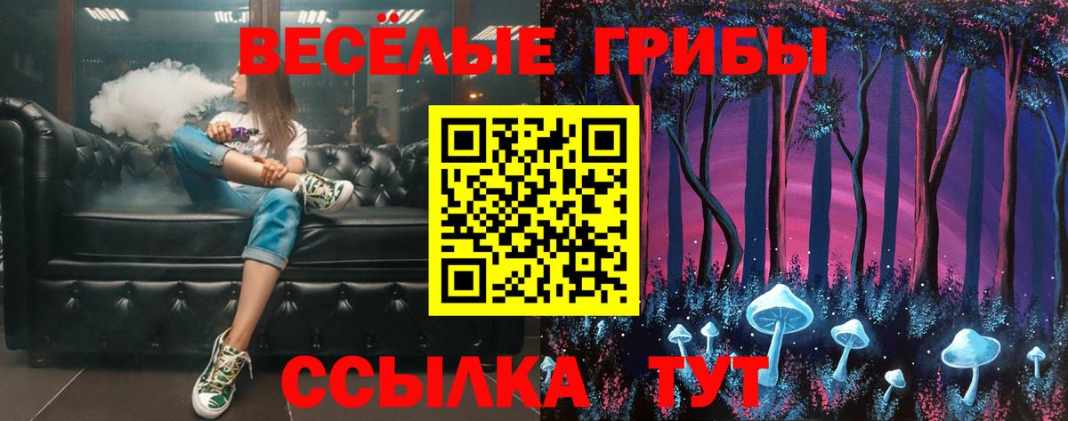 Псилоцибиновые грибы Cubensis  Вход с VPN  Старый Оскол 
